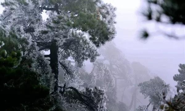 起重机卡车找不同
